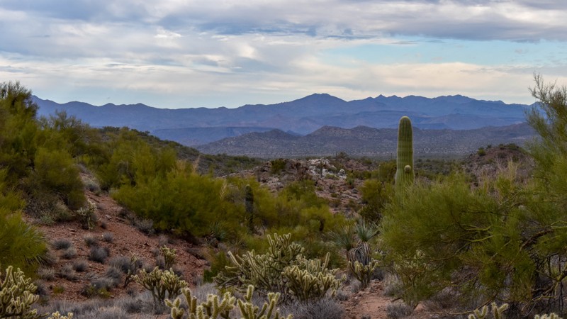 Arizona: 7463 and 7465 Hero Photo