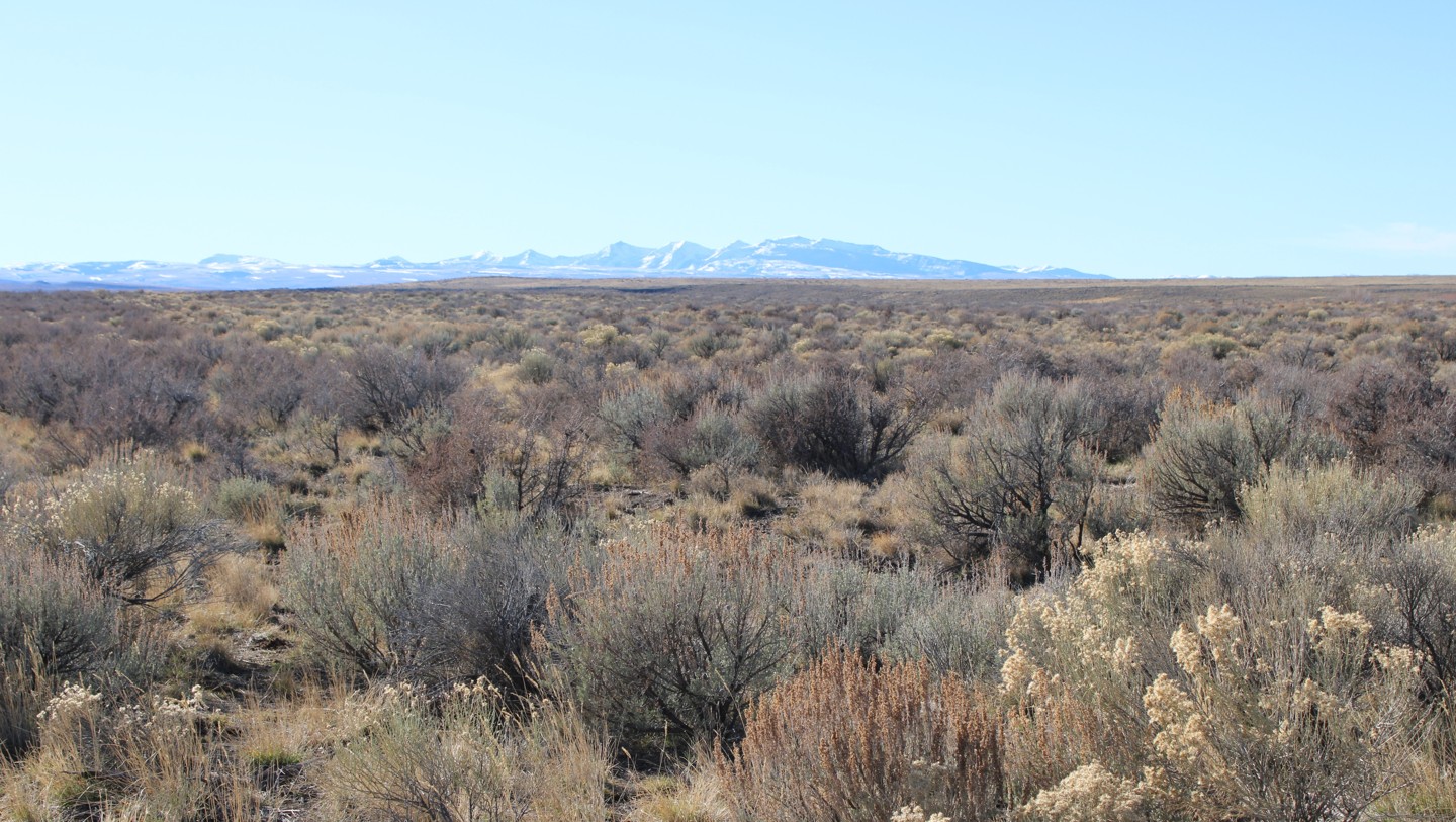 Hero: House Creek Road