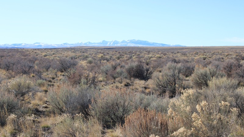 Idaho: House Creek Road Hero Photo