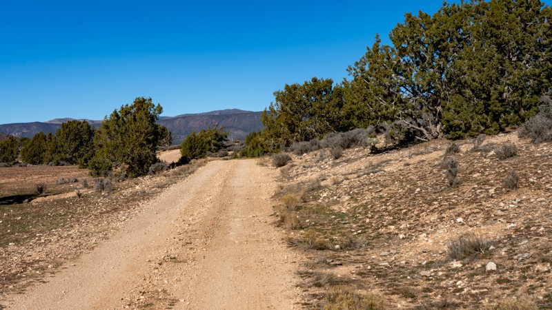 1032 Trail Review Photo