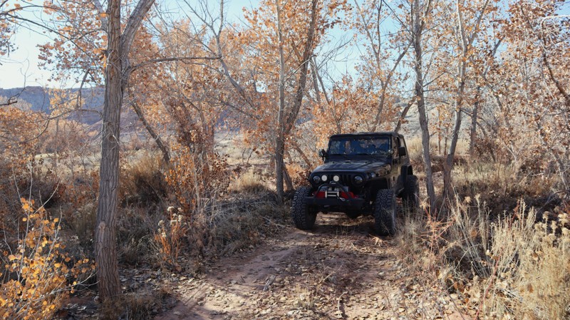 Black Dragon Loop Trail Review Photo