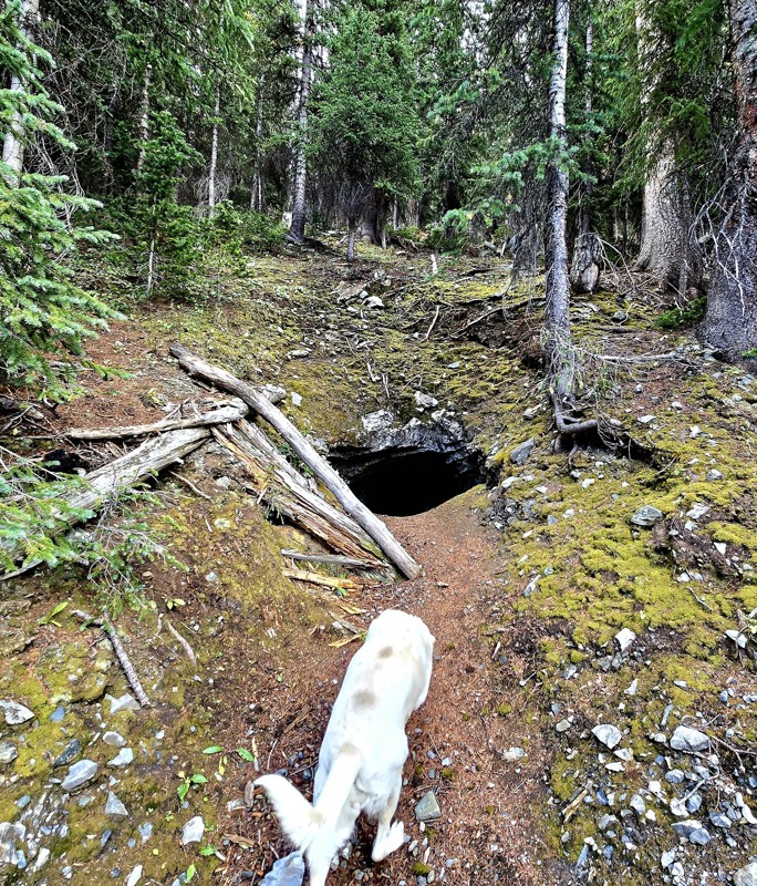 Napoleon Pass Trail Review Photo