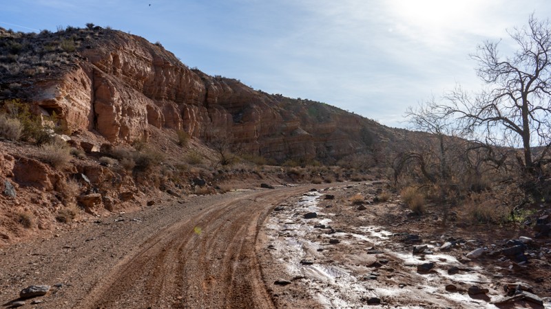 2003 Trail Review Photo