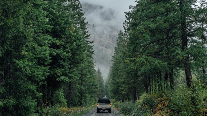 Washington: South Fork Gold Creek Hero Photo