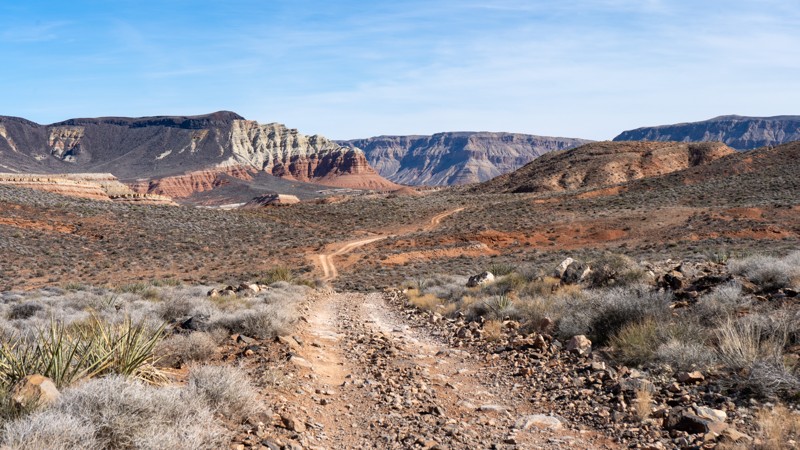 Arizona: 2004 Hero Photo