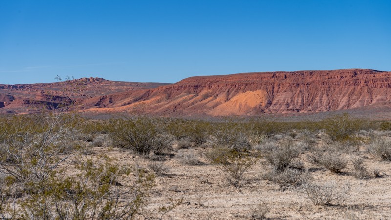 2051 Trail Review Photo