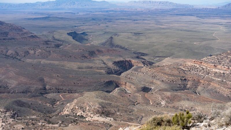 NW Tweeds Point Trail Review Photo
