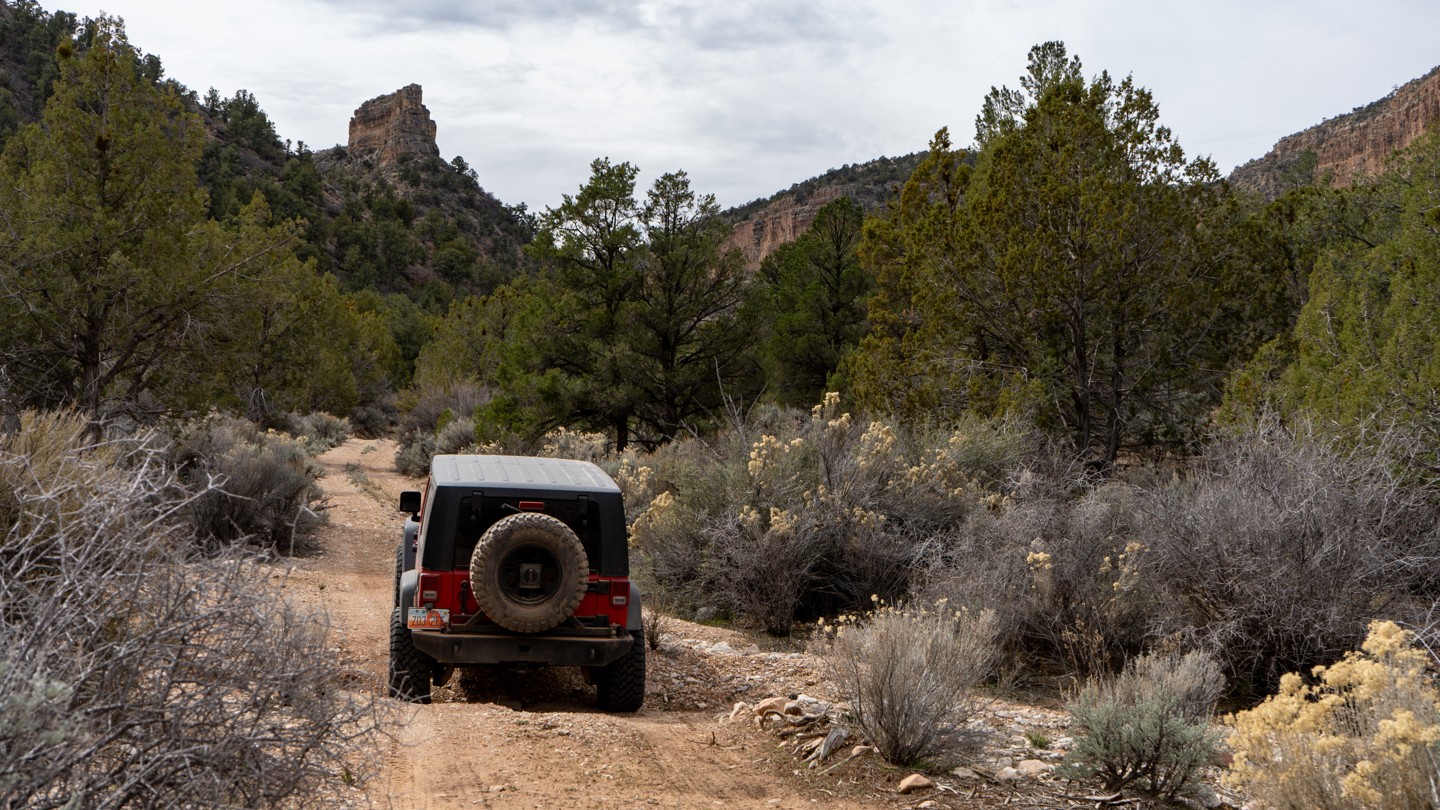 Hero: Rattlesnake Canyon