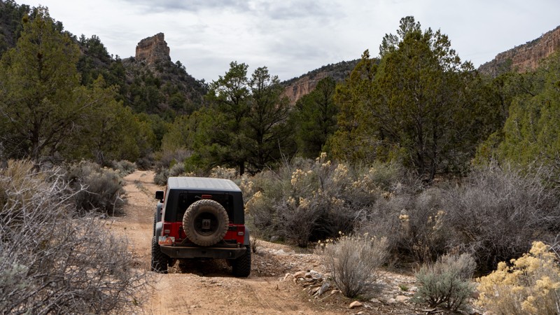 Arizona: Rattlesnake Canyon Hero Photo