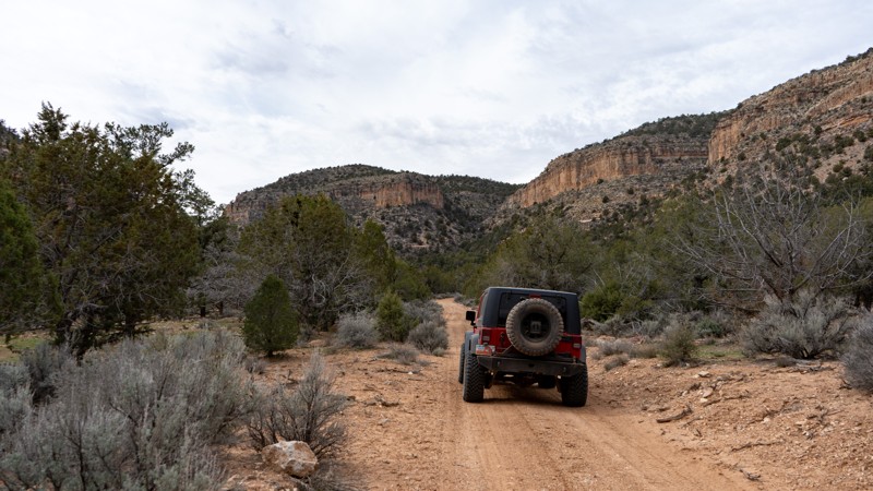 Rattlesnake Canyon Trail Review Photo