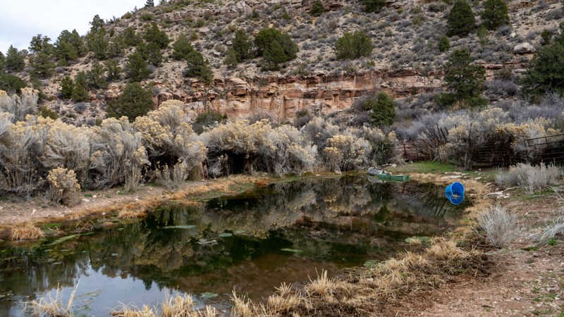 Rattlesnake Canyon Trail Review Photo