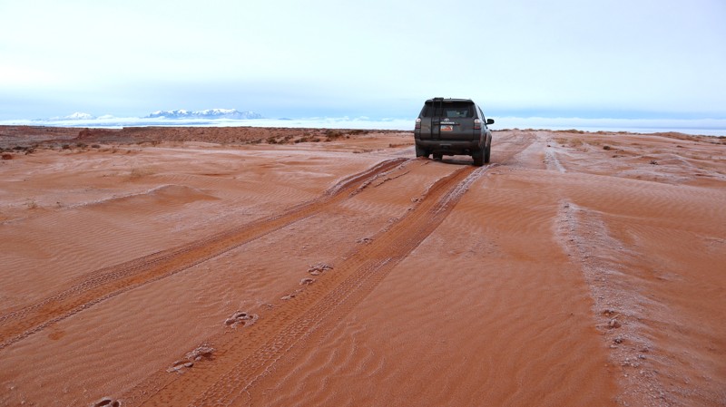 Roost House Trail Review Photo