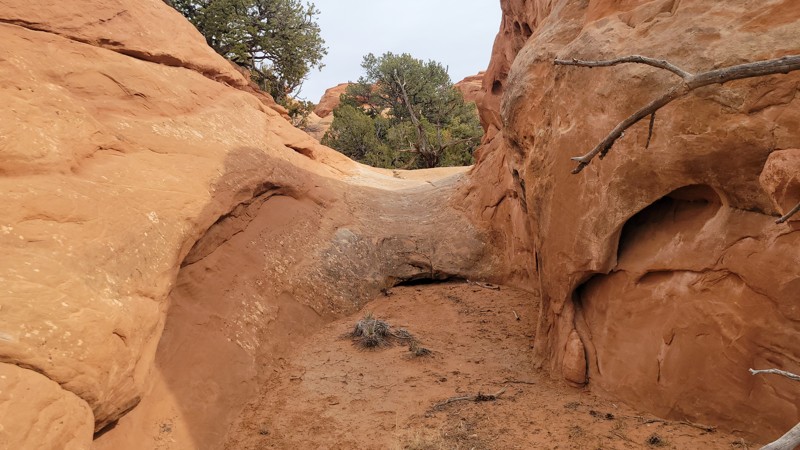 The Pinnacles Trail Review Photo