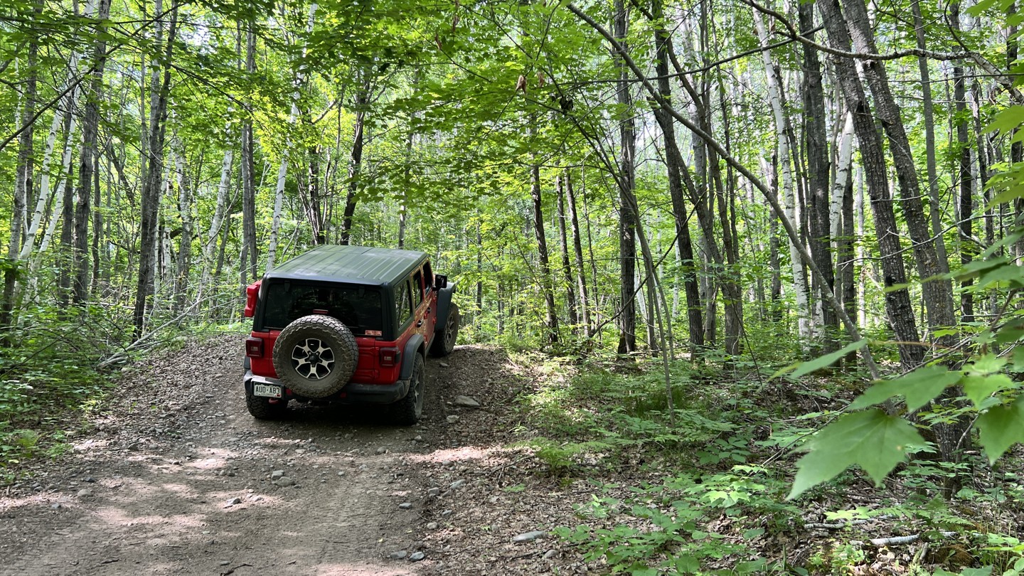 Hero: Spider Lake 247