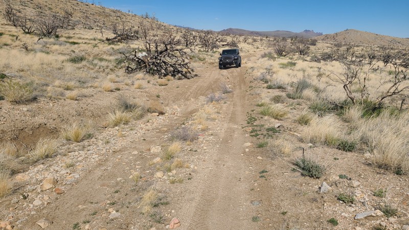 Mail Spring Road Trail Review Photo