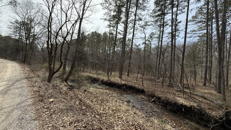 Kaintuck Hollow Trail Review Photo