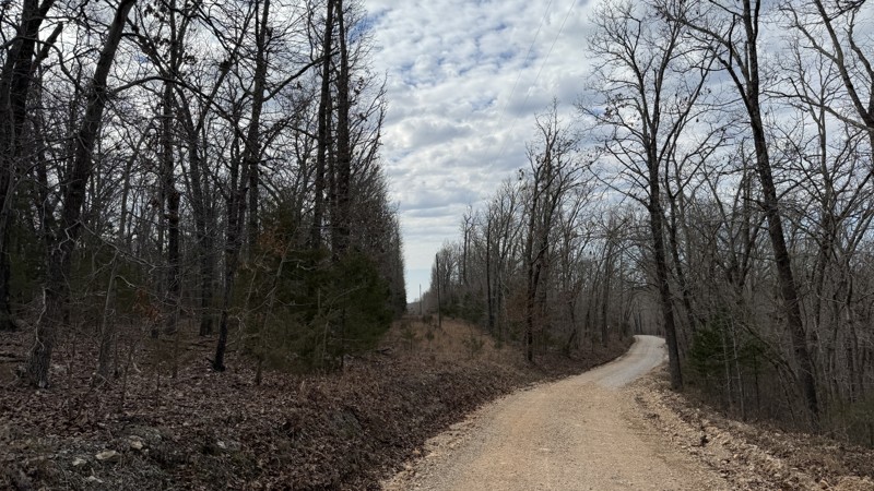 McBride Trail Review Photo