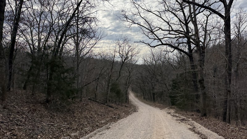 McBride Trail Review Photo