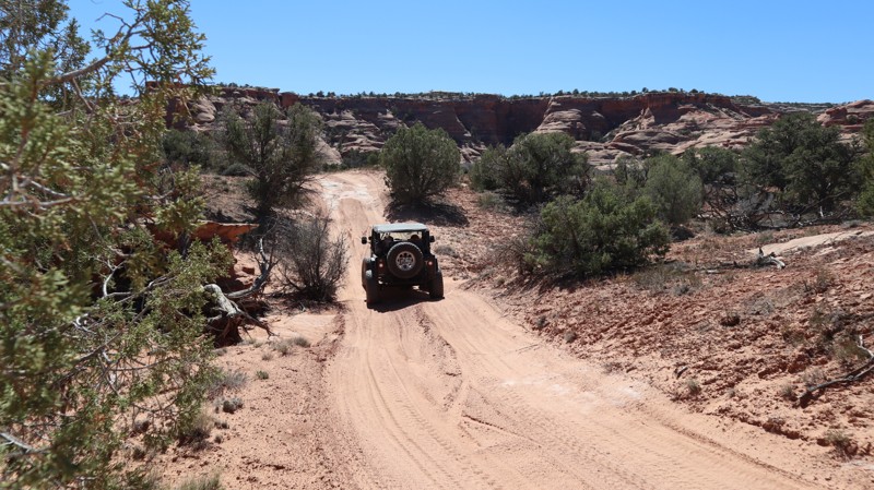 D1781 Trail Review Photo