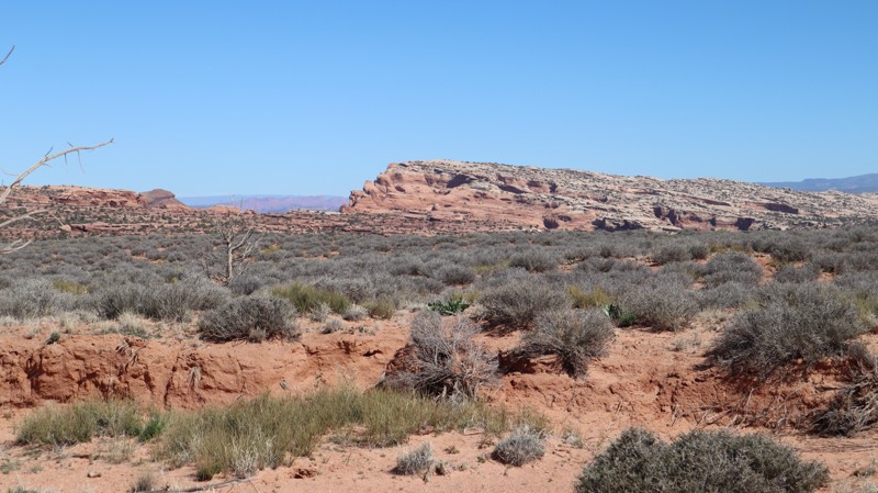 D1799 Trail Review Photo