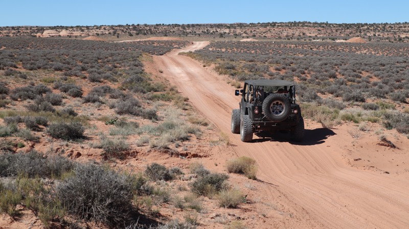 D1799 Trail Review Photo