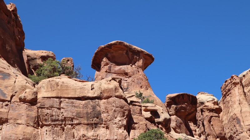 Saucer Canyon Trail Review Photo