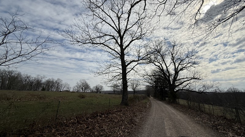 Brown Trail Review Photo