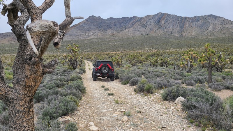 California: Zinc Mine Road Hero Photo