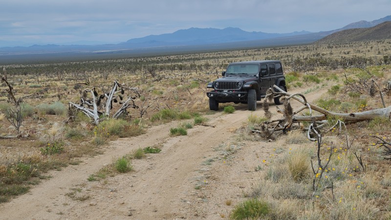 Kessler Peak Road Trail Review Photo