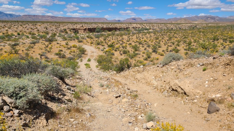 Black Canyon Wash Trail Trail Review Photo