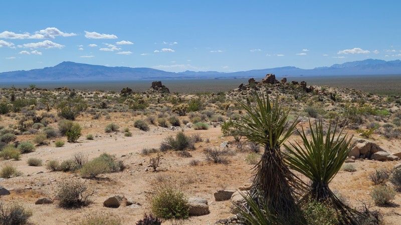 Homer Mountain Trail Trail Review Photo