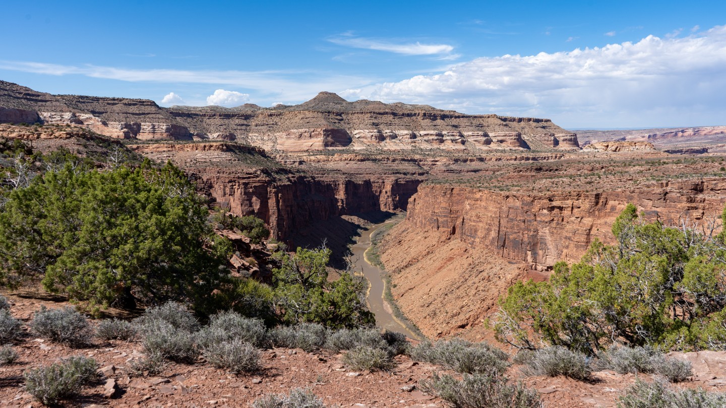 Hero: Delores River Overlook