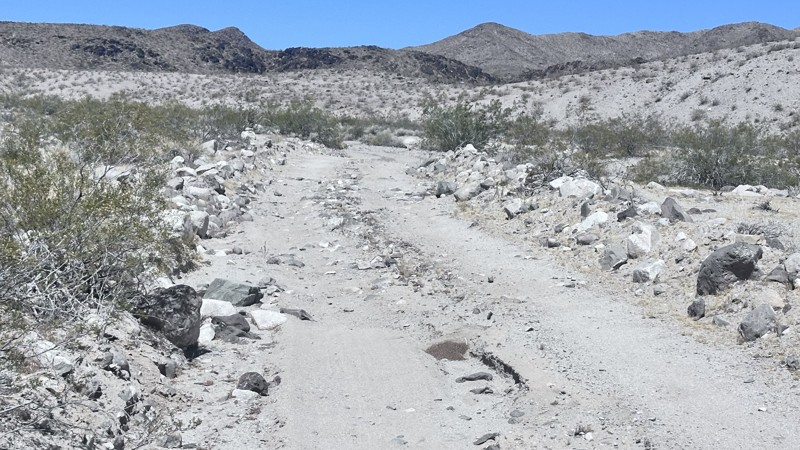 Cohenour Loop Trail Review Photo