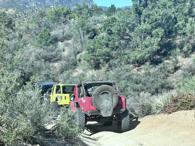 Safelite Trail Review Photo