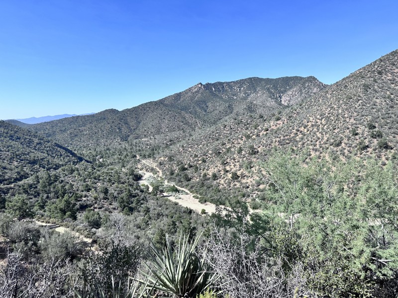 Safelite Trail Review Photo