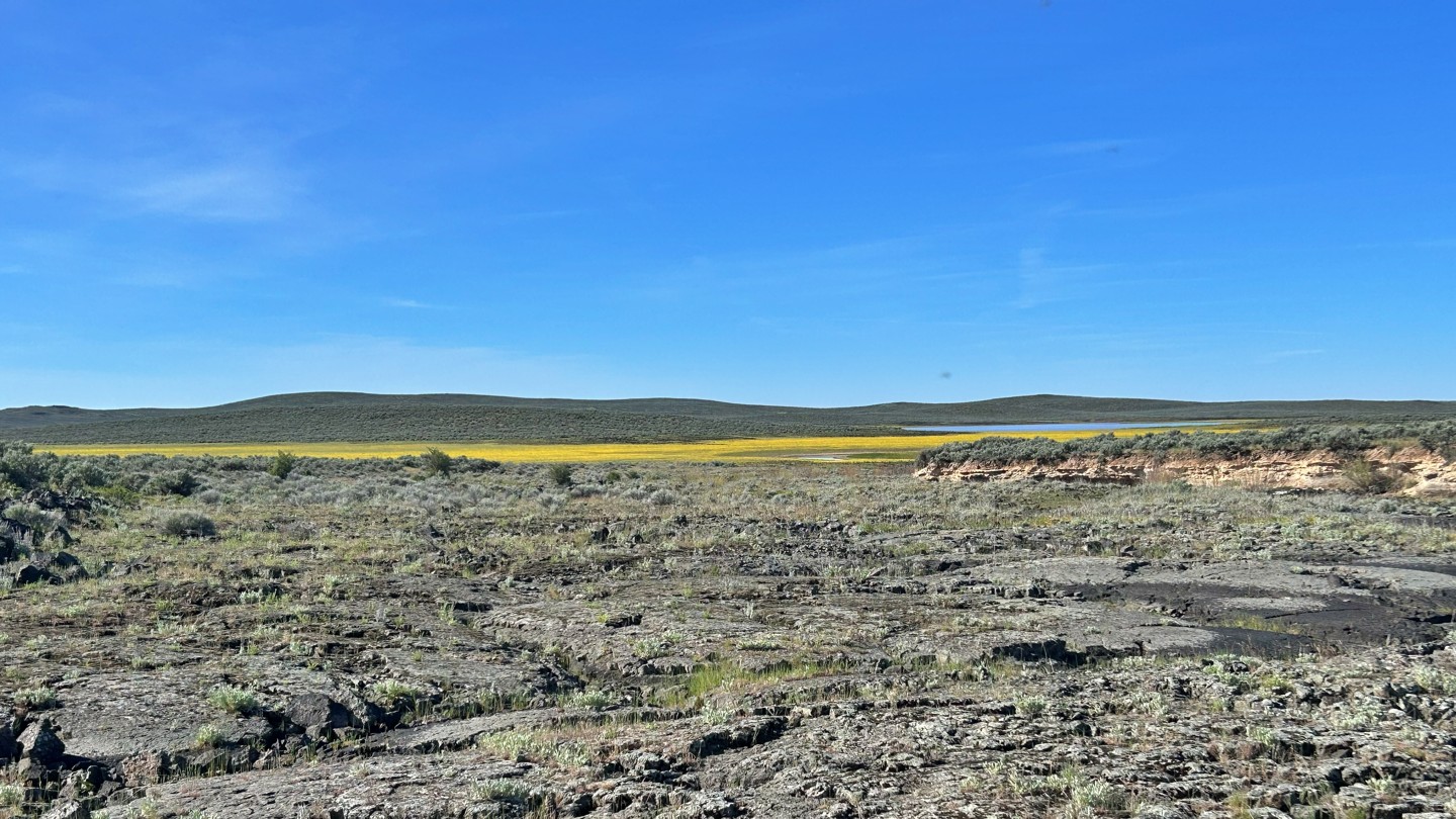 Hero: Lower Cow Creek