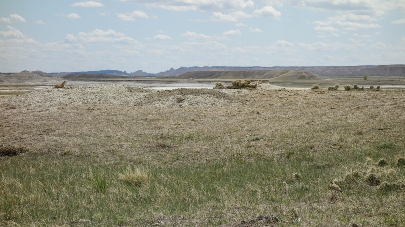 Sage Creek 7146 Trail Review Photo