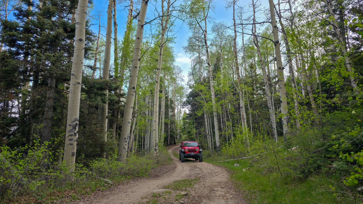 Hero: Decker Creek Road