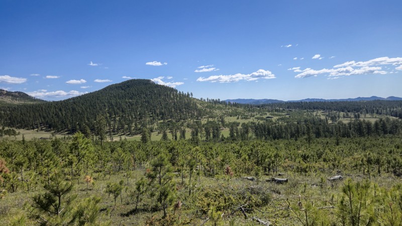 Custer Limestone Road Trail Review Photo