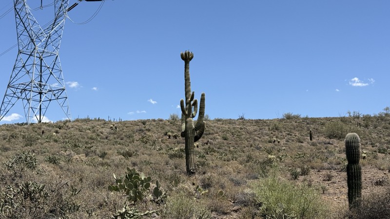Crapshoot Powerline Trail Review Photo