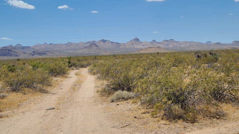 Piute Valley Trail - Gulch Road Trail Review Photo