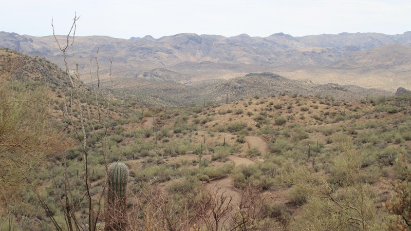 Arizona: Walker Gulch Trail Hero Photo