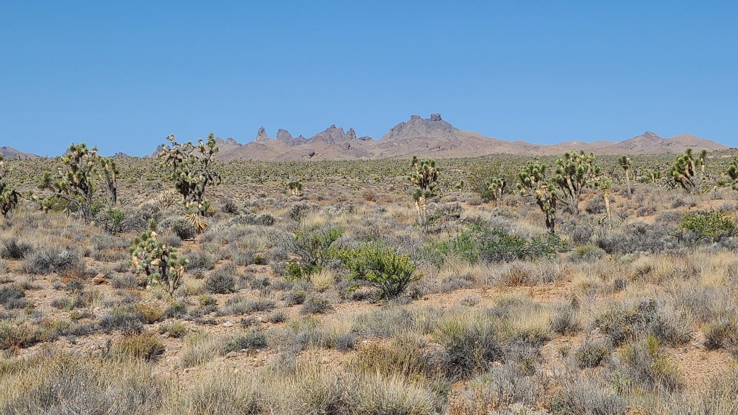Hero: Railroad Grade & Castle Mountain Mine Roads
