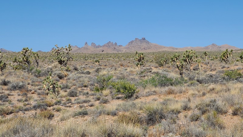 Nevada: Railroad Grade & Castle Mountain Mine Roads Hero Photo