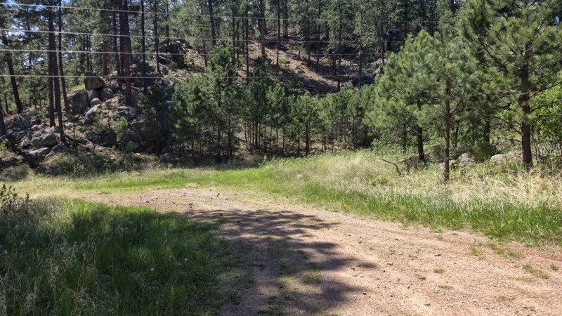 Log Porch Road Trail Review Photo
