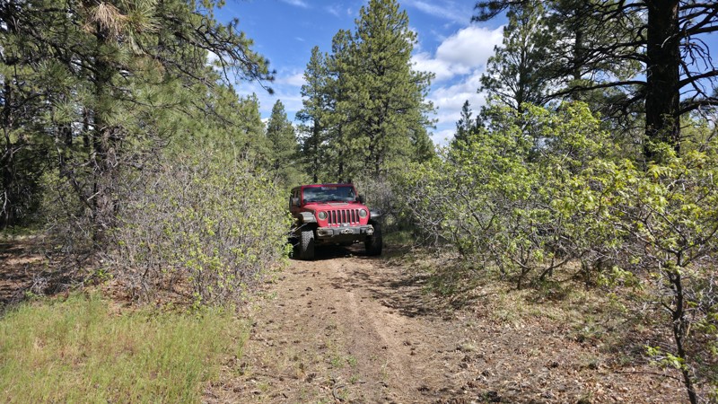 Colorado: Boggy Draw A Hero Photo