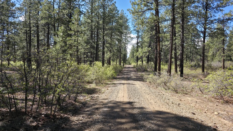 Colorado: Lower Boggy Hero Photo