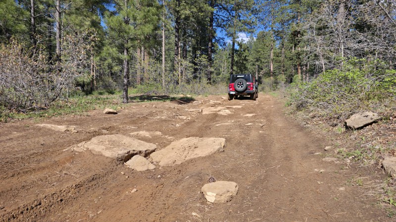 Colorado: Upper House Creek Hero Photo
