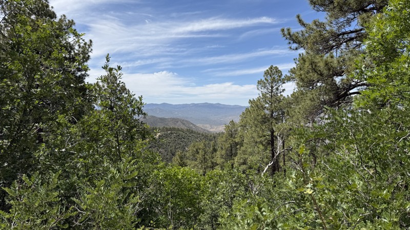 Gladiator Mine Road Trail Review Photo