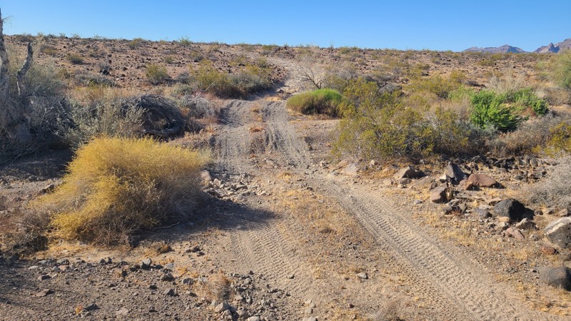 NS499 Trail Review Photo